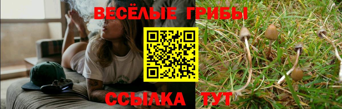 Гусев  Галлюциногенные грибы MAGIC MUSHROOMS  где найти наркотики  Вход с VPN 