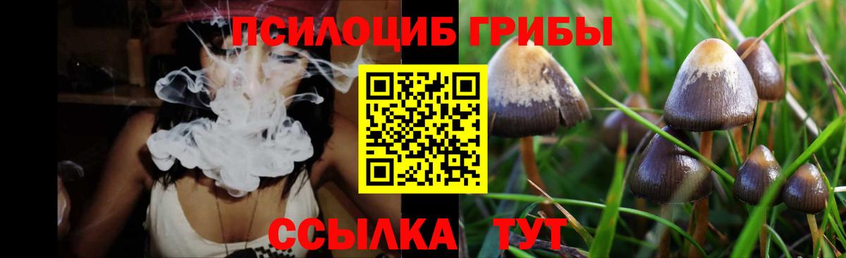 Псилоцибиновые грибы прущие грибы Гусев
