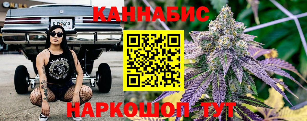 Бошки марихуана план  Вход с VPN  МАРИХУАНА Bruce Banner  Гусев  МАРИХУАНА Amnesia 